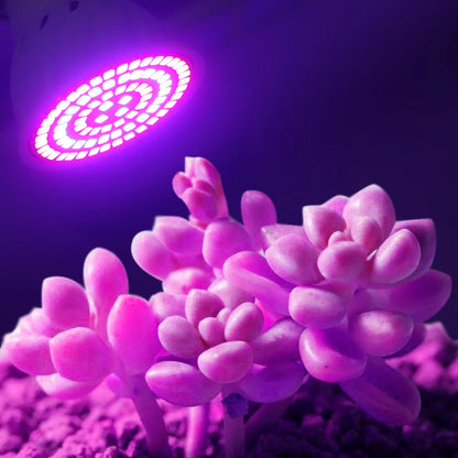 LED Grow Light Bulb