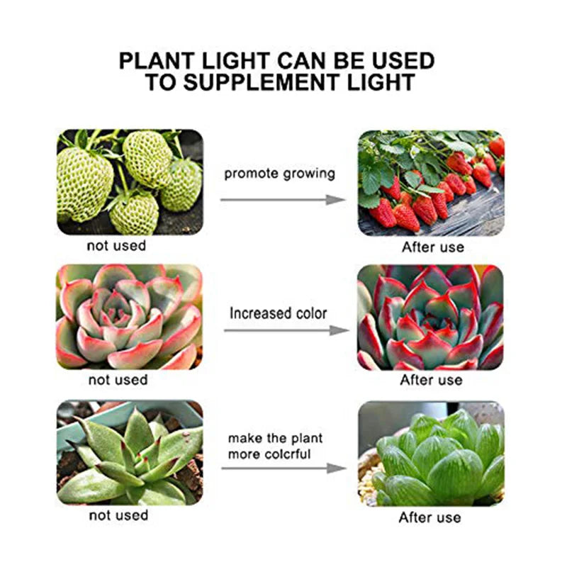LED Grow Light Bulb