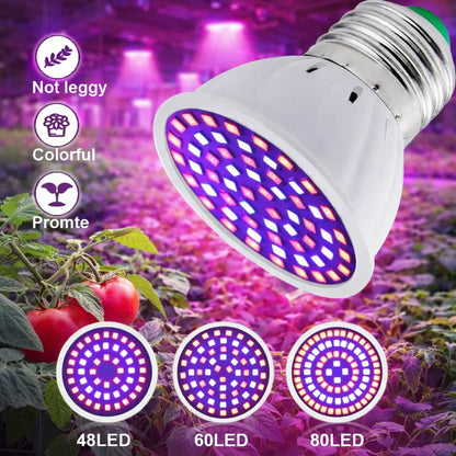 LED Grow Light Bulb