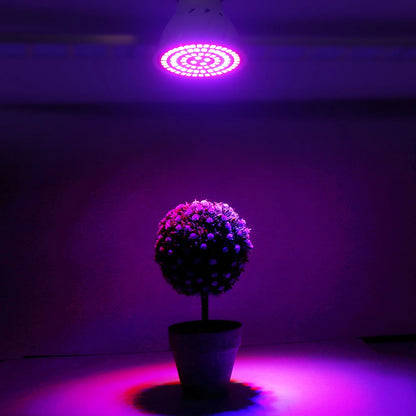 LED Grow Light Bulb
