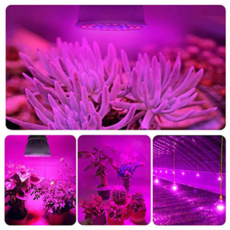 LED Grow Light Bulb