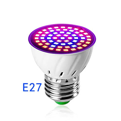 LED Grow Light Bulb